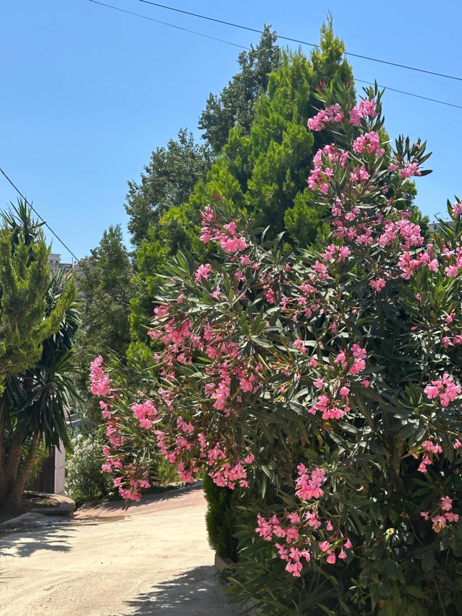 Panoramic Views Of Saranda Appartement Buitenkant foto